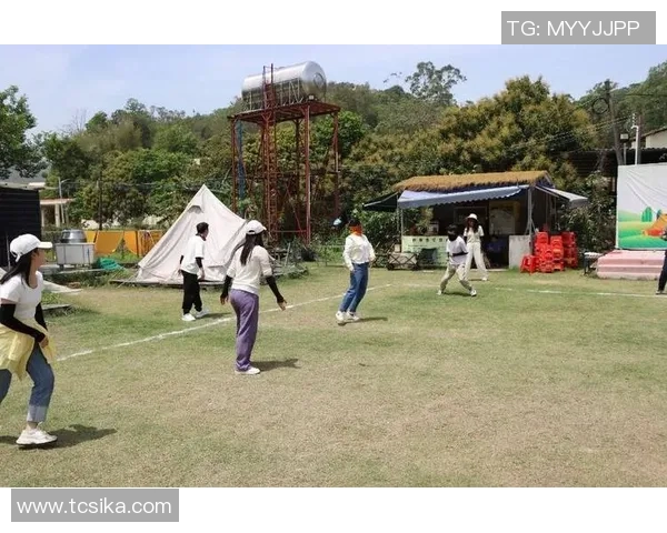 飞盘盛宴：深入了解深圳飞盘队的团队协作与竞技精神